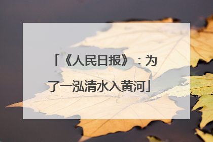 《人民日报》：为了一泓清水入黄河