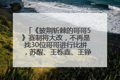 《披荆斩棘的哥哥5》赛制将大改，不再是找30位哥哥进行比拼，苏醒、王栎鑫、王铮亮、张远等多名男团选手被曝将参加