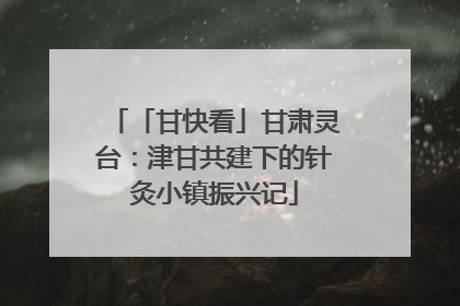 「甘快看」甘肃灵台：津甘共建下的针灸小镇振兴记