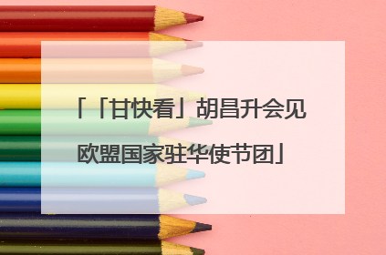 「甘快看」胡昌升会见欧盟国家驻华使节团