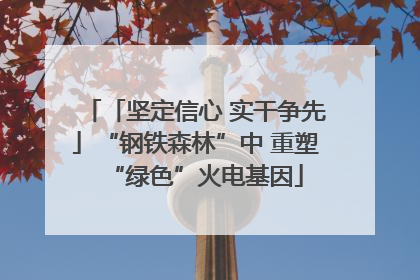 「坚定信心 实干争先」“钢铁森林”中 重塑“绿色”火电基因