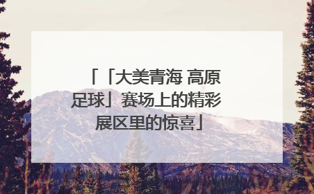 「大美青海 高原足球」赛场上的精彩 展区里的惊喜
