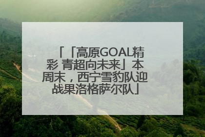 「高原GOAL精彩 青超向未来」本周末，西宁雪豹队迎战果洛格萨尔队