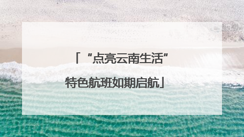 “点亮云南生活”特色航班如期启航