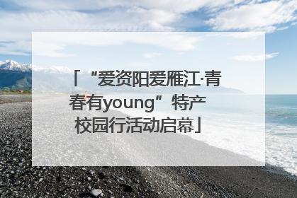 “爱资阳爱雁江·青春有young”特产校园行活动启幕