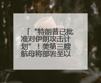 “特朗普已批准对伊朗攻击计划”！美第三艘航母将部署至以色列附近