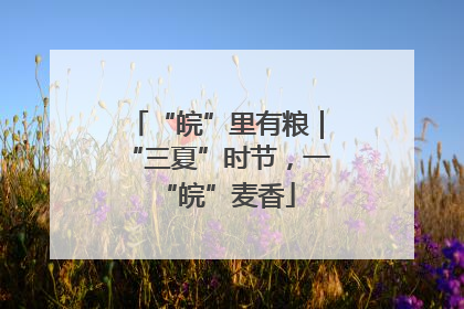 “皖”里有粮｜“三夏”时节，一“皖”麦香