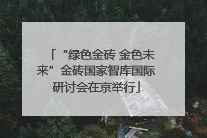 “绿色金砖 金色未来”金砖国家智库国际研讨会在京举行