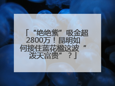 “绝绝紫”吸金超2800万！昆明如何接住蓝花楹这波“泼天富贵”？