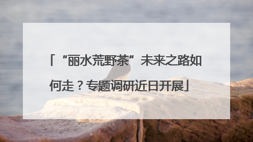 “丽水荒野茶”未来之路如何走？专题调研近日开展