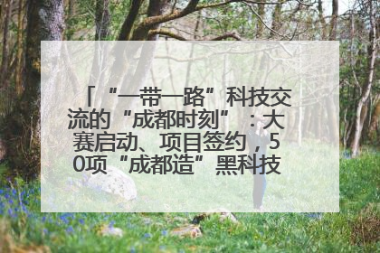 “一带一路”科技交流的“成都时刻”：大赛启动、项目签约，50项“成都造”黑科技吸引多国客商