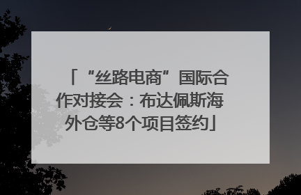 “丝路电商”国际合作对接会：布达佩斯海外仓等8个项目签约