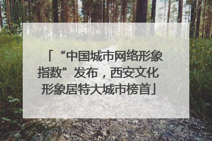 “中国城市网络形象指数”发布，西安文化形象居特大城市榜首