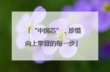 “中国芯”，珍惜向上攀登的每一步