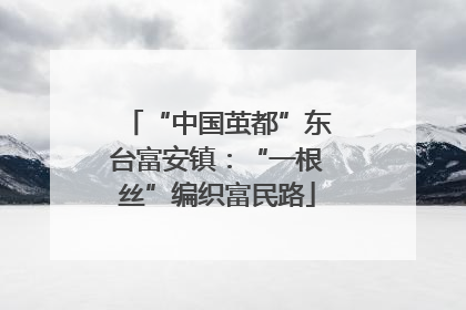 “中国茧都”东台富安镇：“一根丝”编织富民路