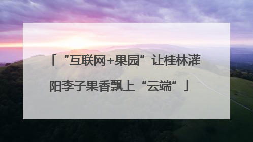 “互联网+果园”让桂林灌阳李子果香飘上“云端”
