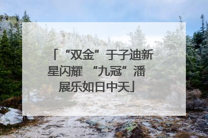 “双金”于子迪新星闪耀 “九冠”潘展乐如日中天