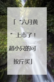 “六月黄”上市了！超小只的可按斤买