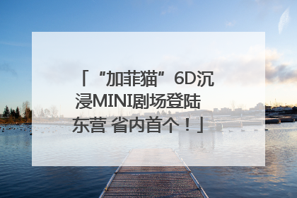 “加菲猫”6D沉浸MINI剧场登陆东营 省内首个！
