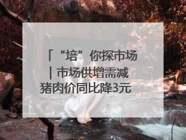 “培”你探市场｜市场供增需减 猪肉价同比降3元 未来40天便宜猪肉敞开吃