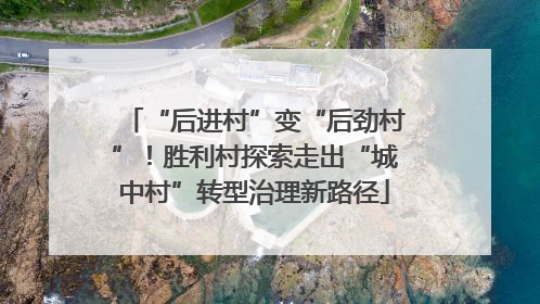 “后进村”变“后劲村”！胜利村探索走出“城中村”转型治理新路径