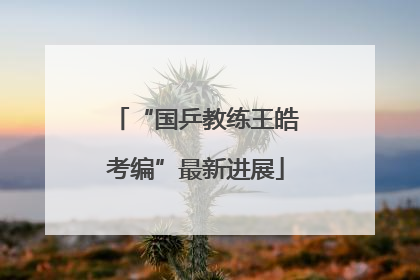 “国乒教练王皓考编”最新进展