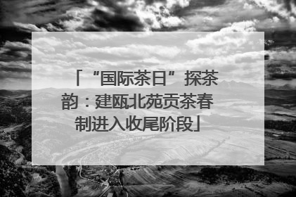 “国际茶日”探茶韵：建瓯北苑贡茶春制进入收尾阶段