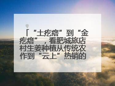 “土疙瘩”到“金疙瘩”，看肥城旅店村生姜种植从传统农作到“云上”热销的蝶变之路