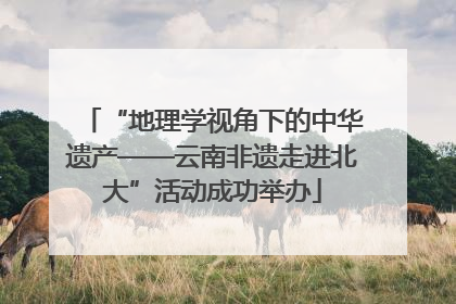 “地理学视角下的中华遗产——云南非遗走进北大”活动成功举办