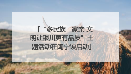 “多民族一家亲 文明让银川更有品质”主题活动在闽宁镇启动