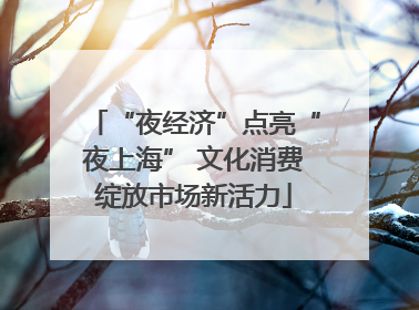 “夜经济”点亮“夜上海” 文化消费绽放市场新活力