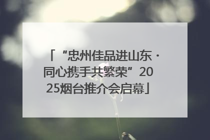 “忠州佳品进山东・同心携手共繁荣”2025烟台推介会启幕
