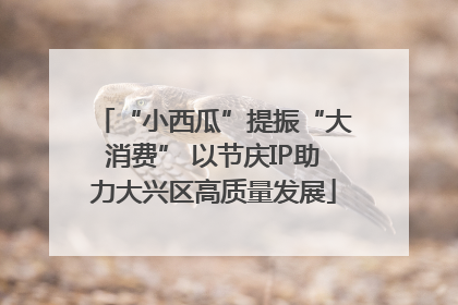 “小西瓜”提振“大消费” 以节庆IP助力大兴区高质量发展