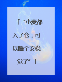 “小麦都入了仓，可以睡个安稳觉了”