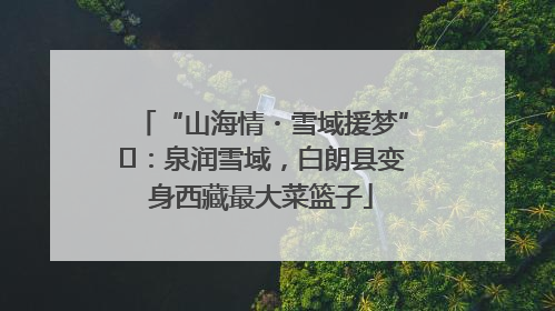 “山海情・雪域援梦”⑪：泉润雪域，白朗县变身西藏最大菜篮子