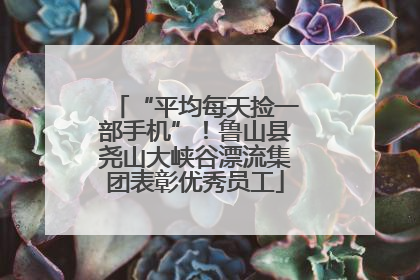 “平均每天捡一部手机”！鲁山县尧山大峡谷漂流集团表彰优秀员工