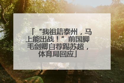 “我祖籍泰州，马上能出战！”前国脚毛剑卿自荐踢苏超，体育局回应