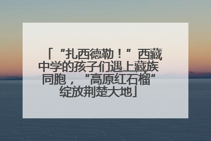 “扎西德勒！”西藏中学的孩子们遇上藏族同胞，“高原红石榴”绽放荆楚大地