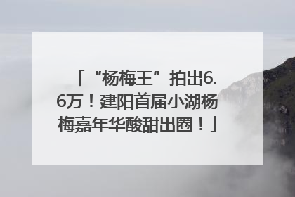 “杨梅王”拍出6.6万！建阳首届小湖杨梅嘉年华酸甜出圈！