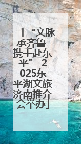 “文脉承齐鲁 携手赴东平” 2025东平湖文旅济南推介会举办