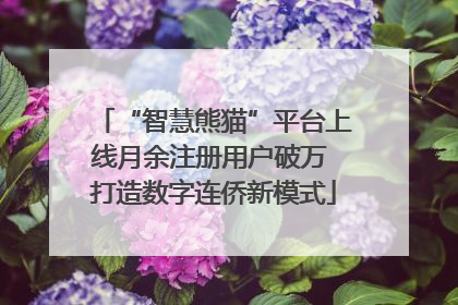 “智慧熊猫”平台上线月余注册用户破万 打造数字连侨新模式
