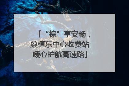 “棕”享安畅，桑植东中心收费站暖心护航高速路