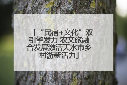 “民宿+文化”双引擎发力 农文旅融合发展激活天水市乡村游新活力