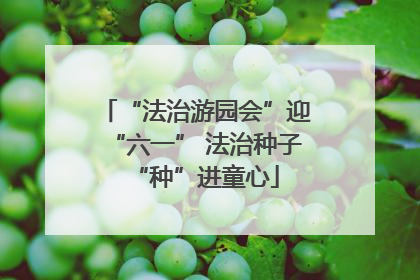 “法治游园会”迎“六一” 法治种子“种”进童心