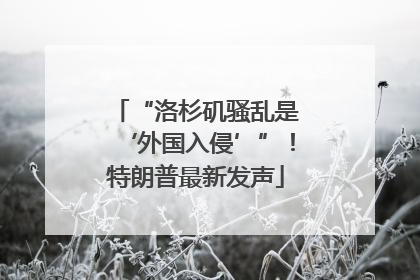 “洛杉矶骚乱是‘外国入侵’”！特朗普最新发声