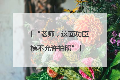 “老师，这面功臣榜不允许拍照”