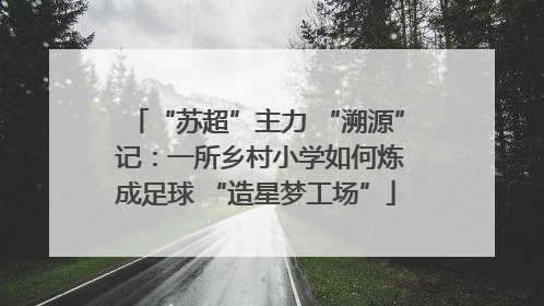 “苏超”主力 “溯源” 记：一所乡村小学如何炼成足球 “造星梦工场”