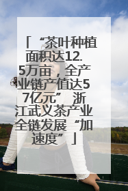 “茶叶种植面积达12.5万亩，全产业链产值达57亿元” 浙江武义茶产业全链发展“加速度”