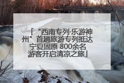“西南专列·乐游神州”首趟旅游专列抵达宁夏固原 800余名游客开启清凉之旅