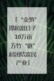 “金笋”撑起甜日子 10万亩方竹“链”起团结富民产业